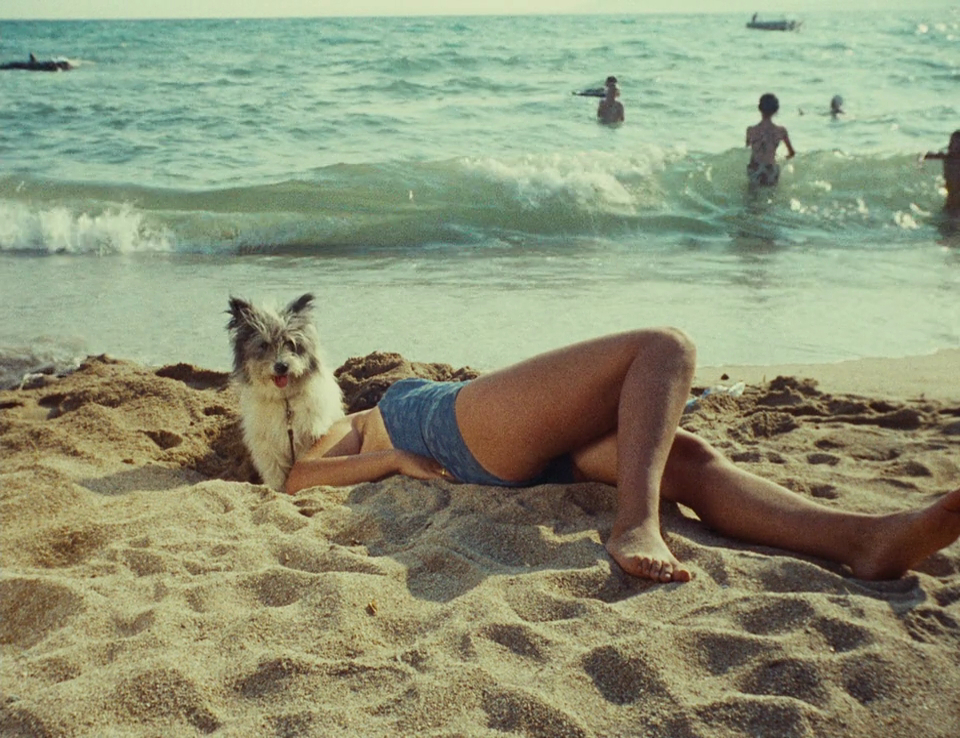 Du côté de la côte (1958)