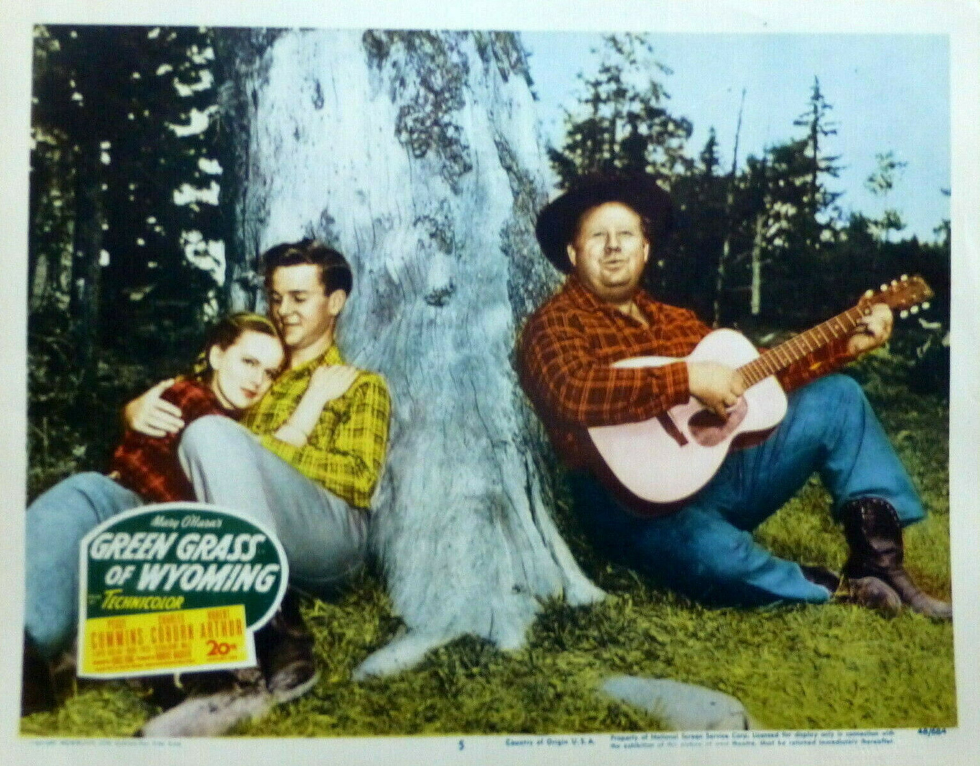 Green Grass of Wyoming (1948)