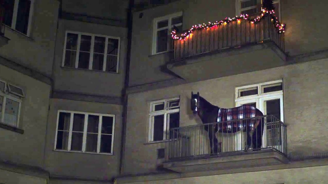 Das Pferd auf dem Balkon