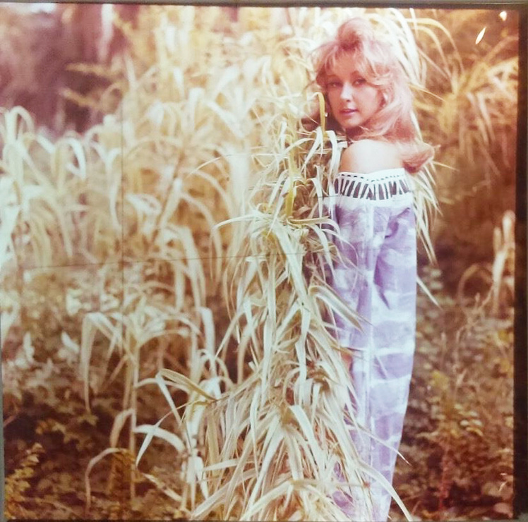 annie-gorassini