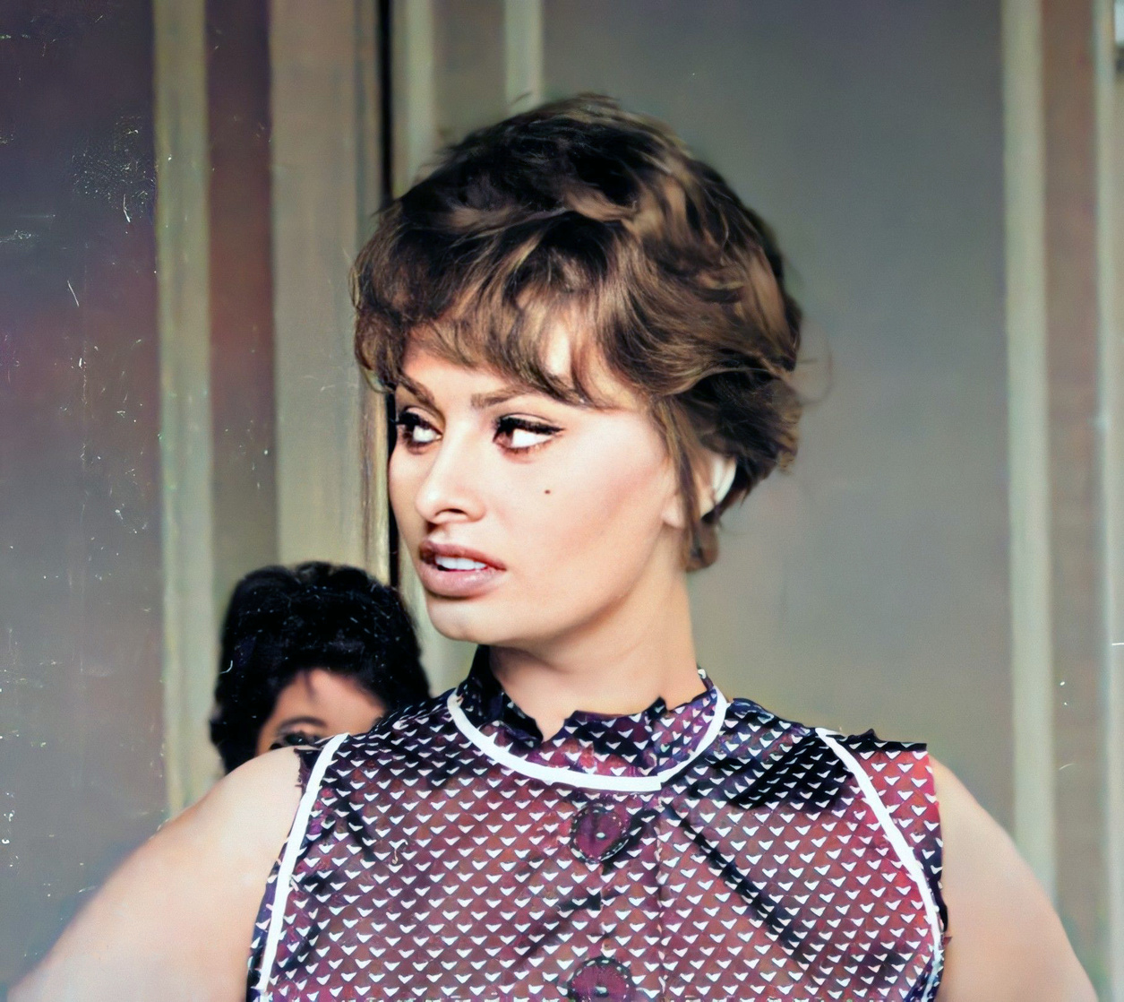 Sophia Loren Sophia Loren