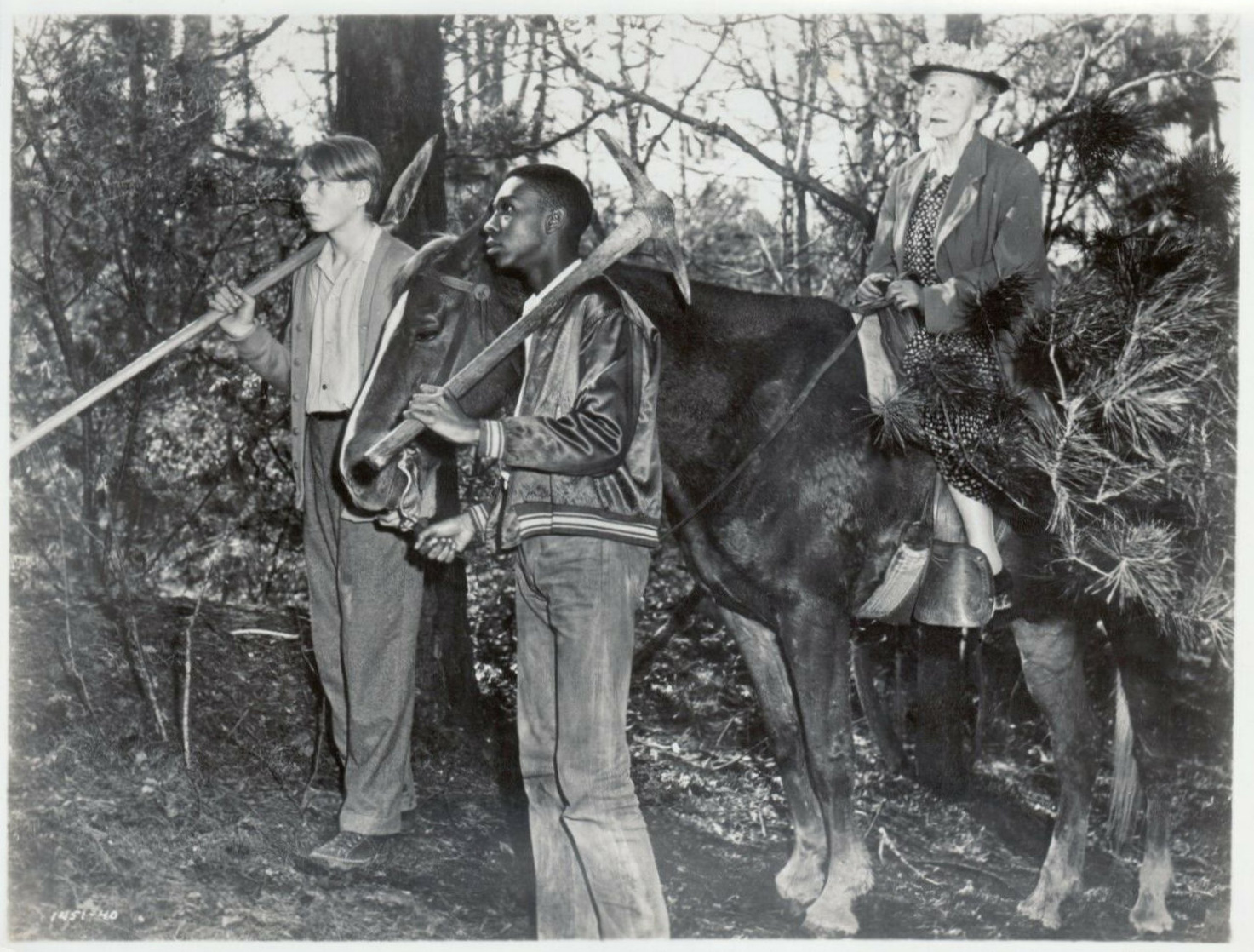 Intruder in the Dust (1949) Intruder in the Dust (1949)