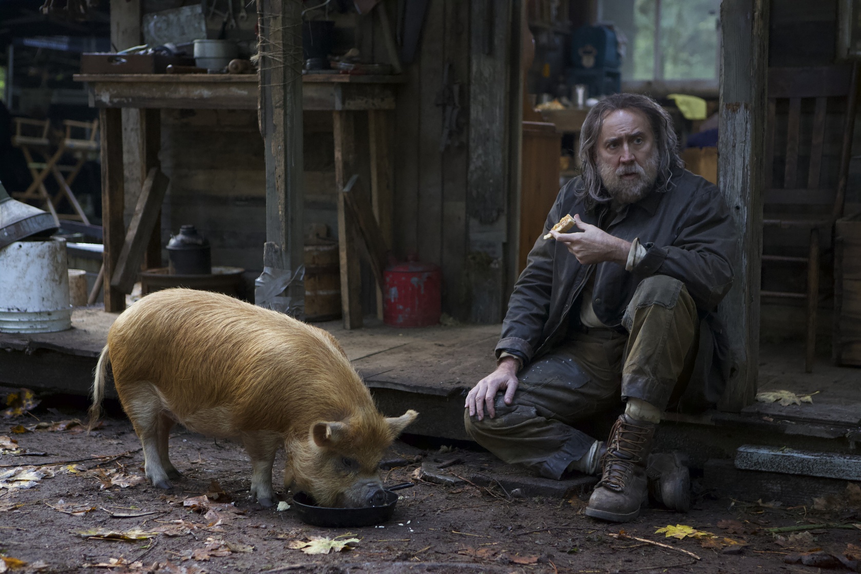 Pig Pig