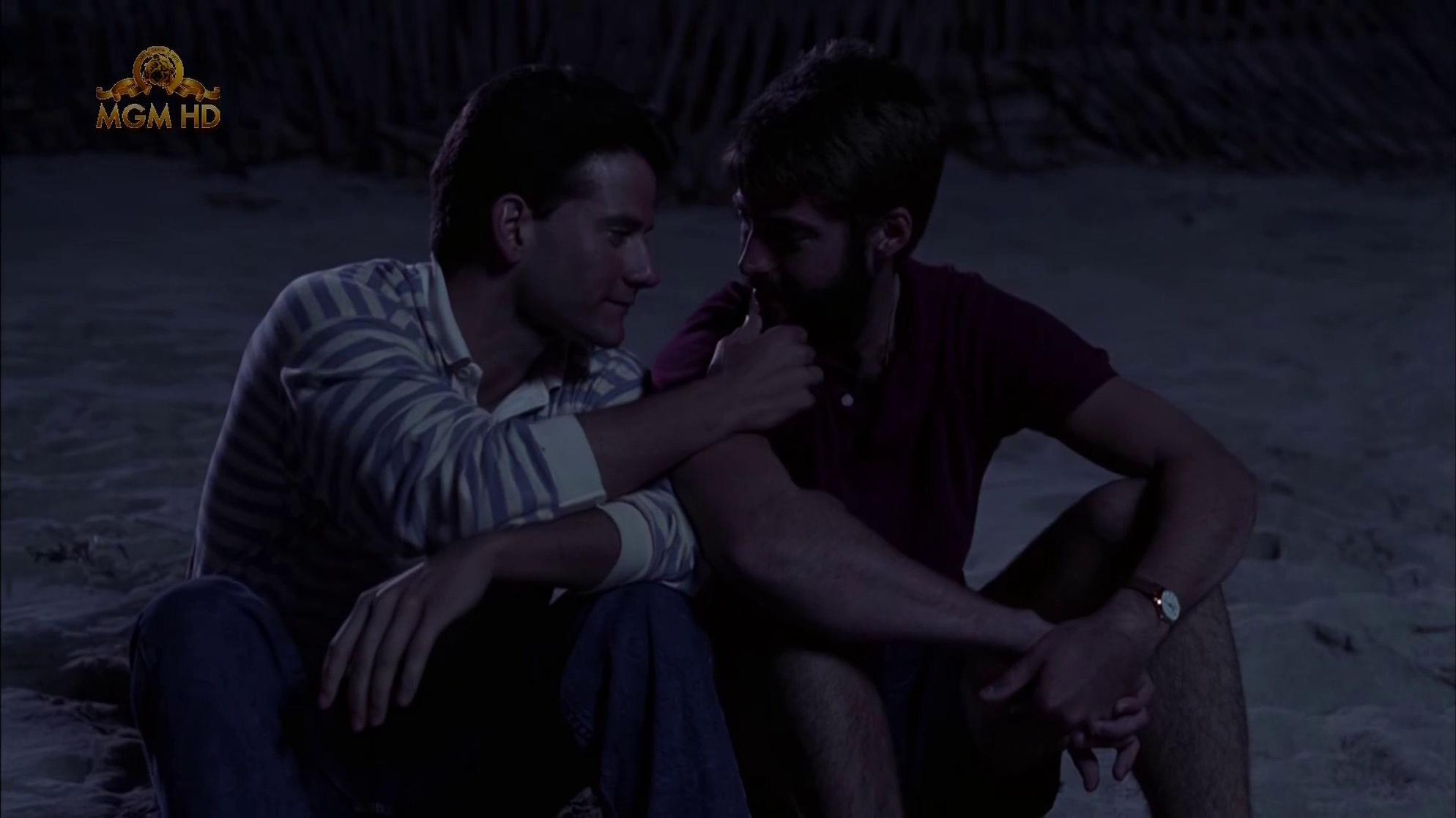 Longtime Companion