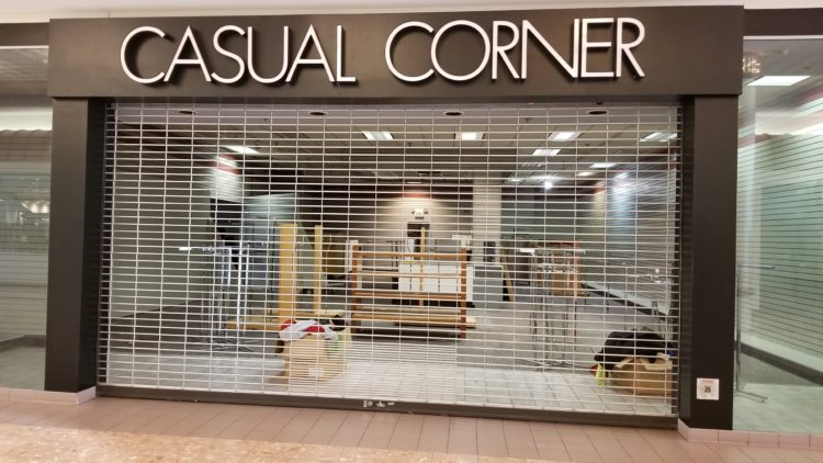 casual corner petite