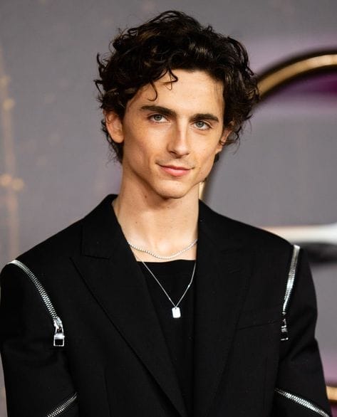 Picture of Timothée Chalamet