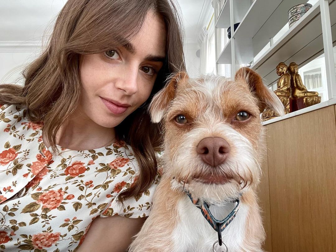 Lily Collins Lily Collins