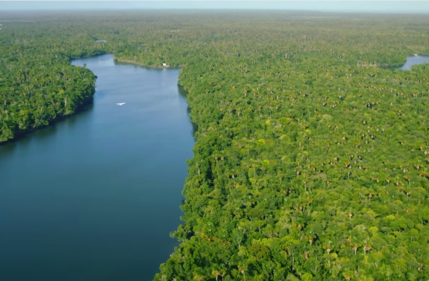 Verloren am Amazonas
