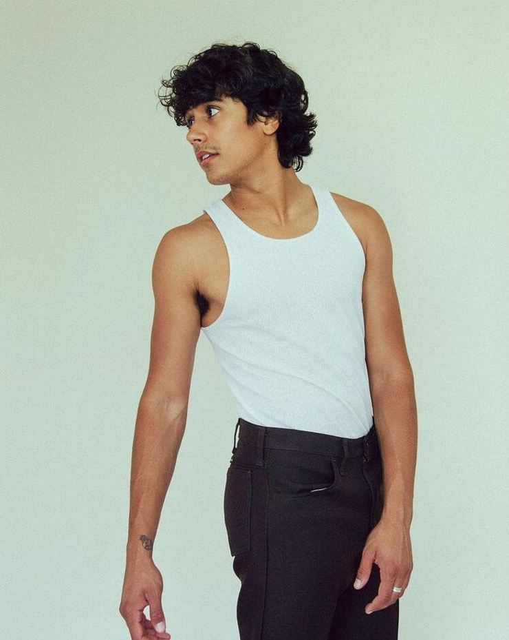 Picture of Michael Cimino