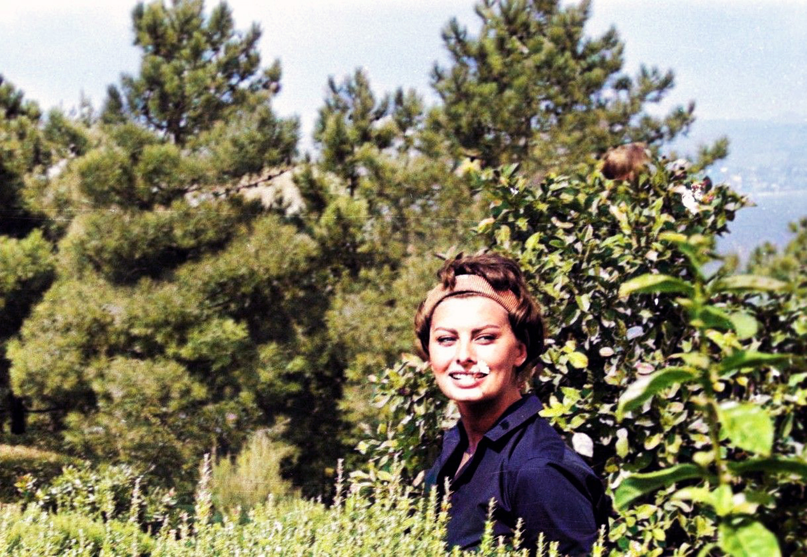 Sophia Loren