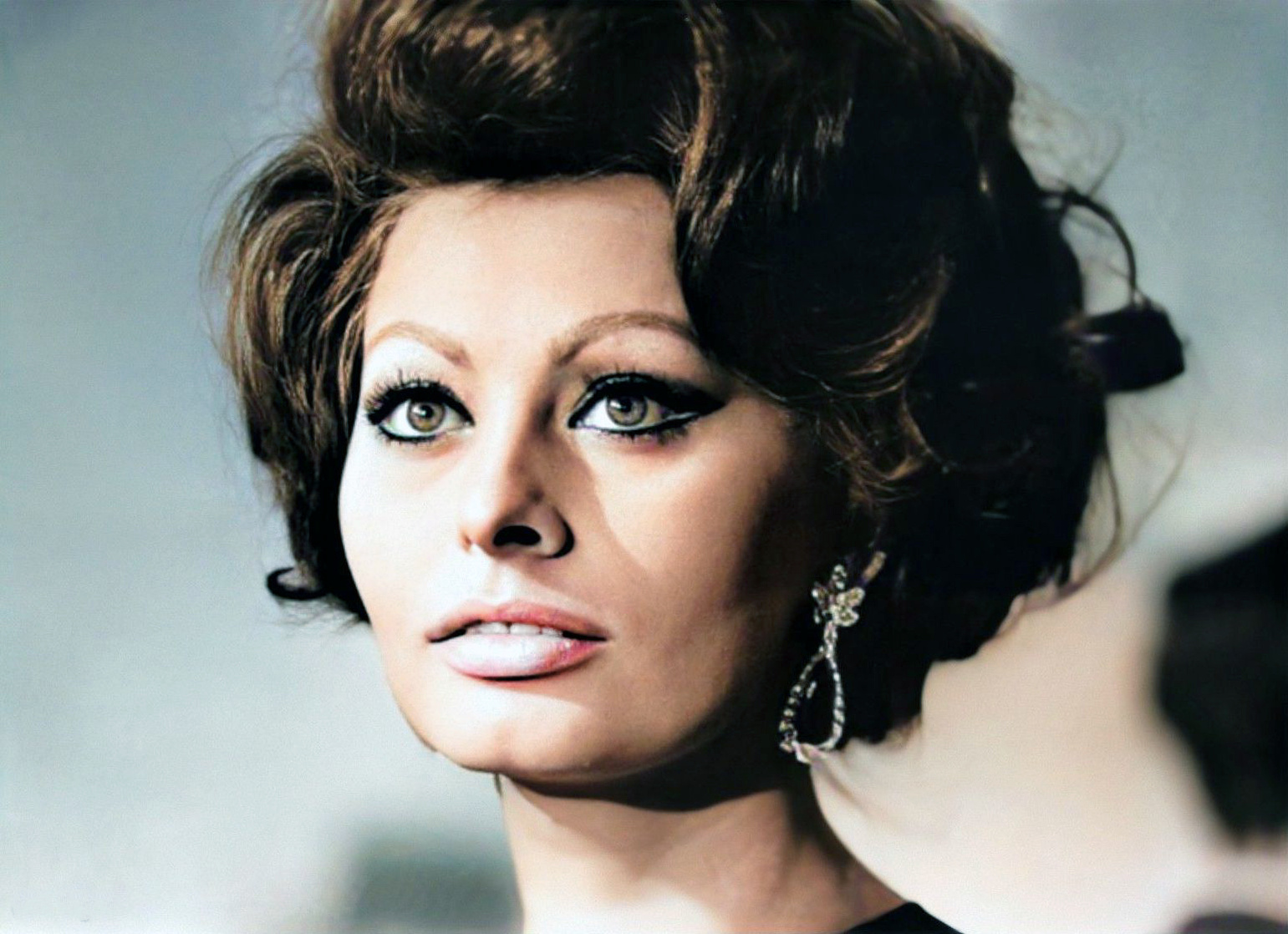 Sophia Loren