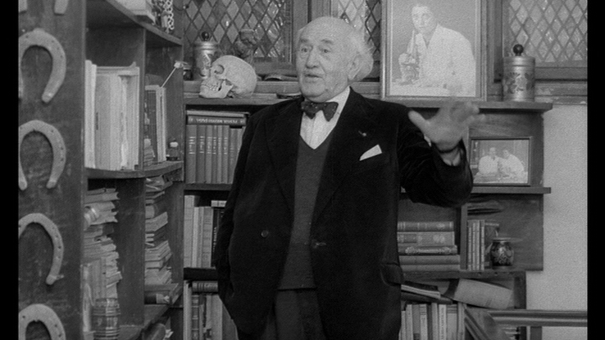 Love Affair, or the Case of the Missing Switchboard Operator (1967) Love Affair, or the Case of the Missing Switchboard Operator (1967)