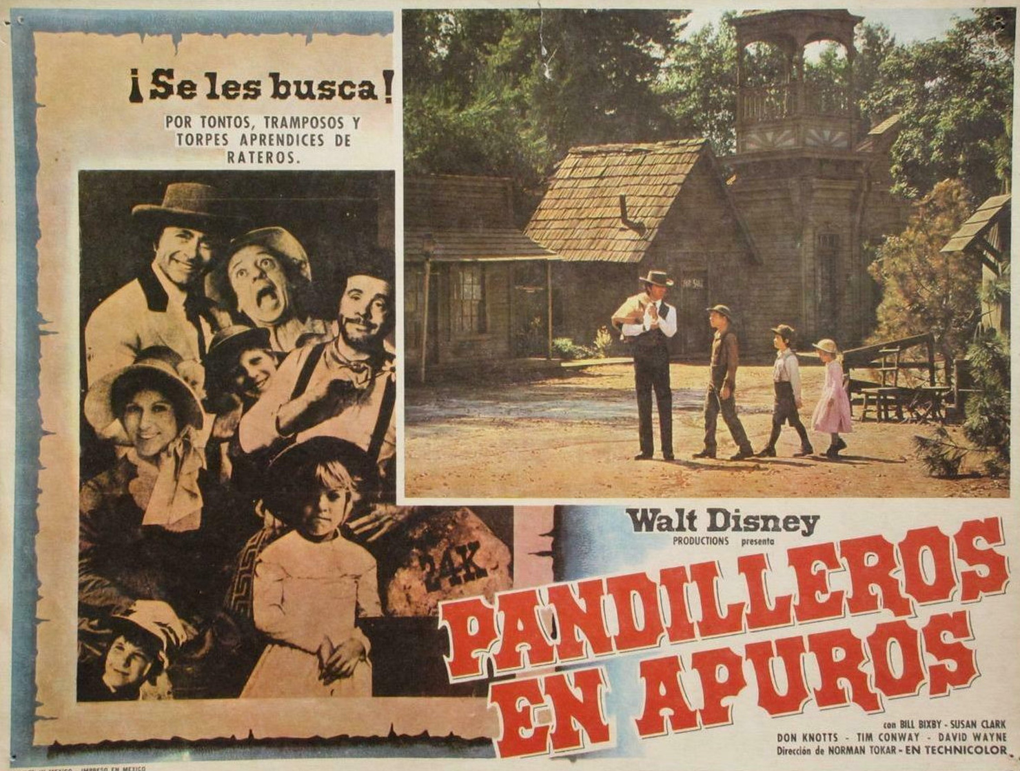 The Apple Dumpling Gang The Apple Dumpling Gang