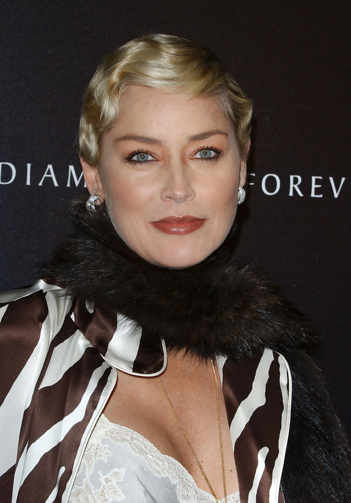 Picture of Sharon Stone