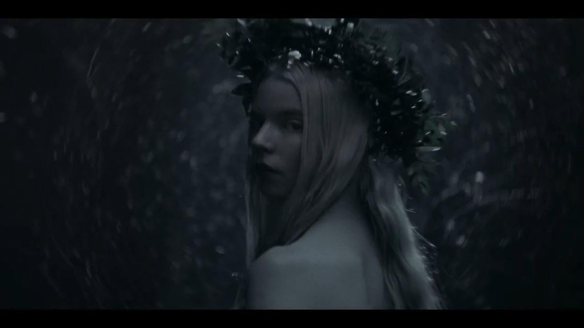 The Northman The Northman