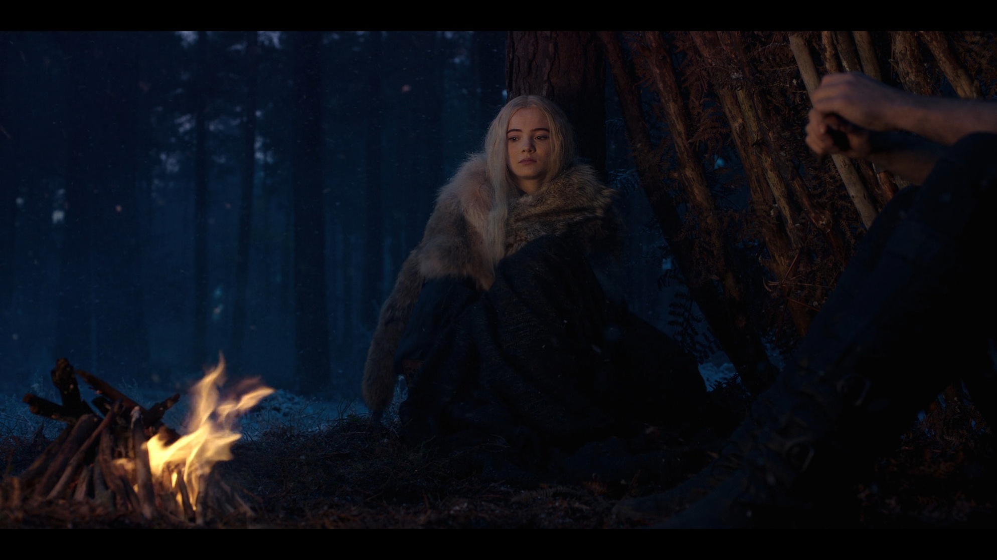 The Witcher