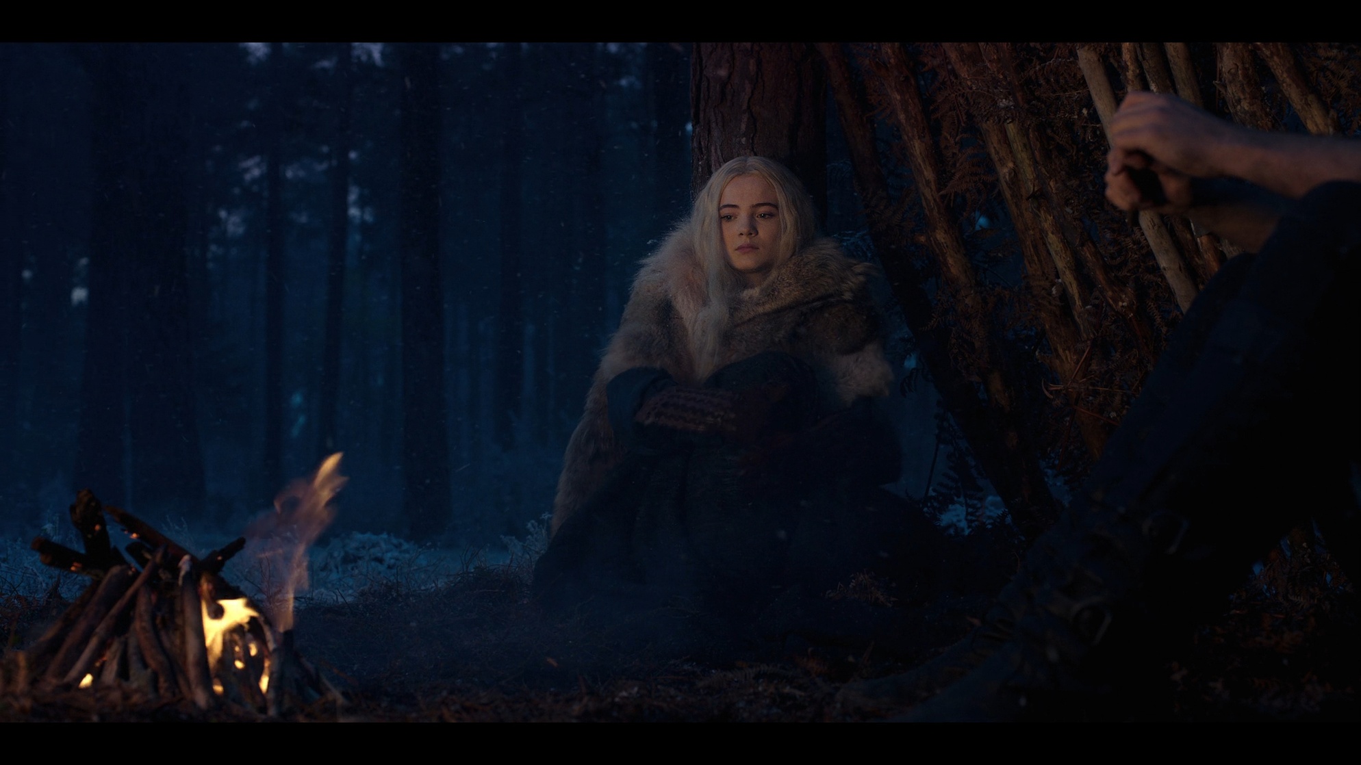 The Witcher