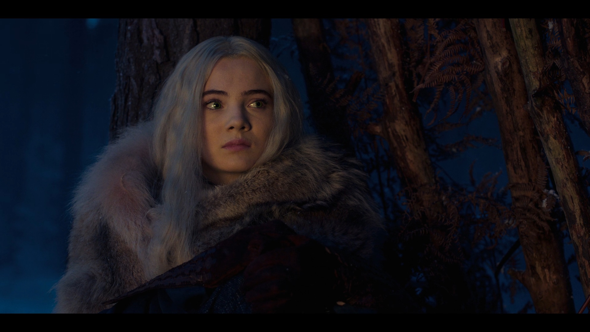 The Witcher