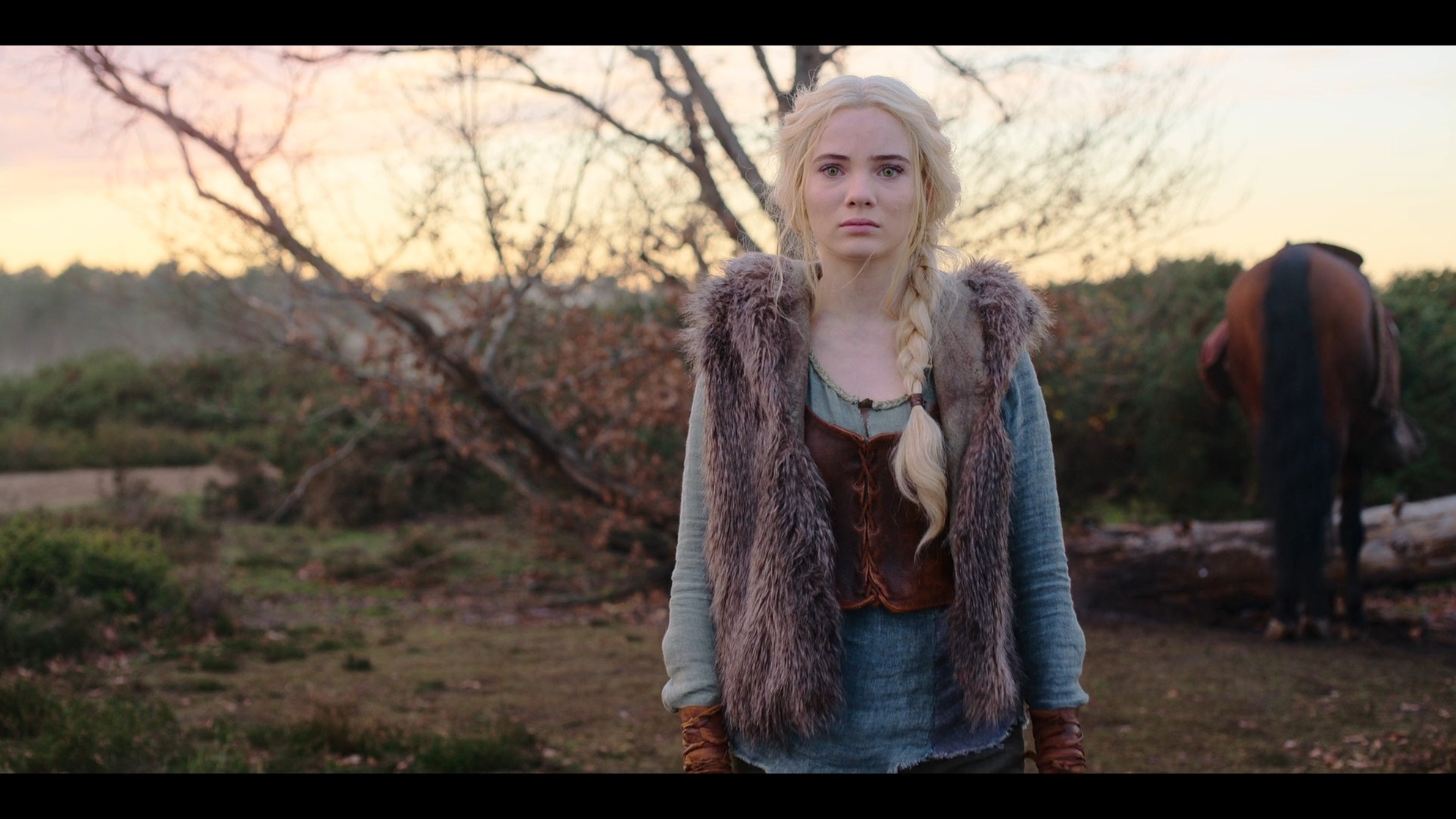 The Witcher