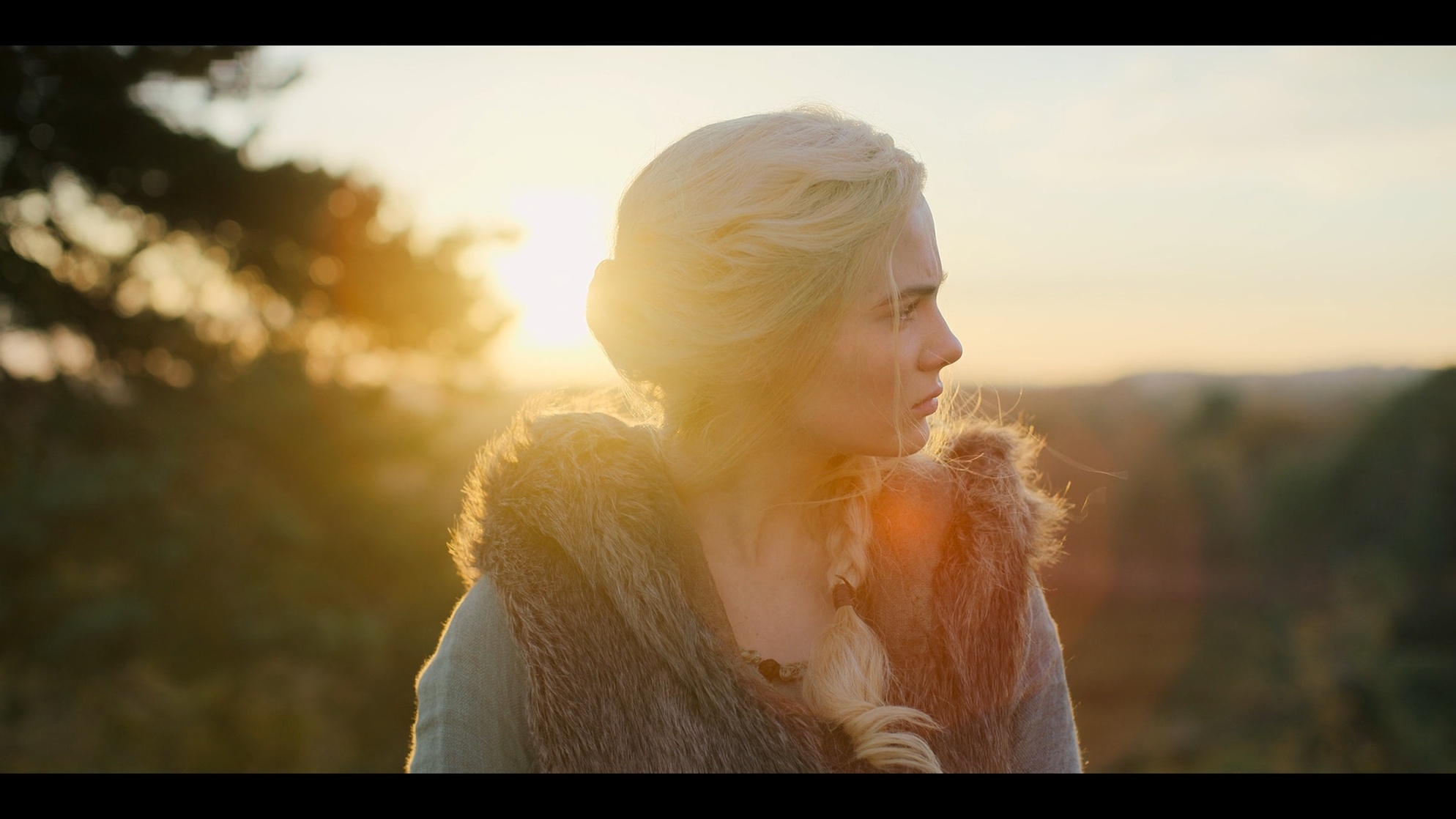 The Witcher