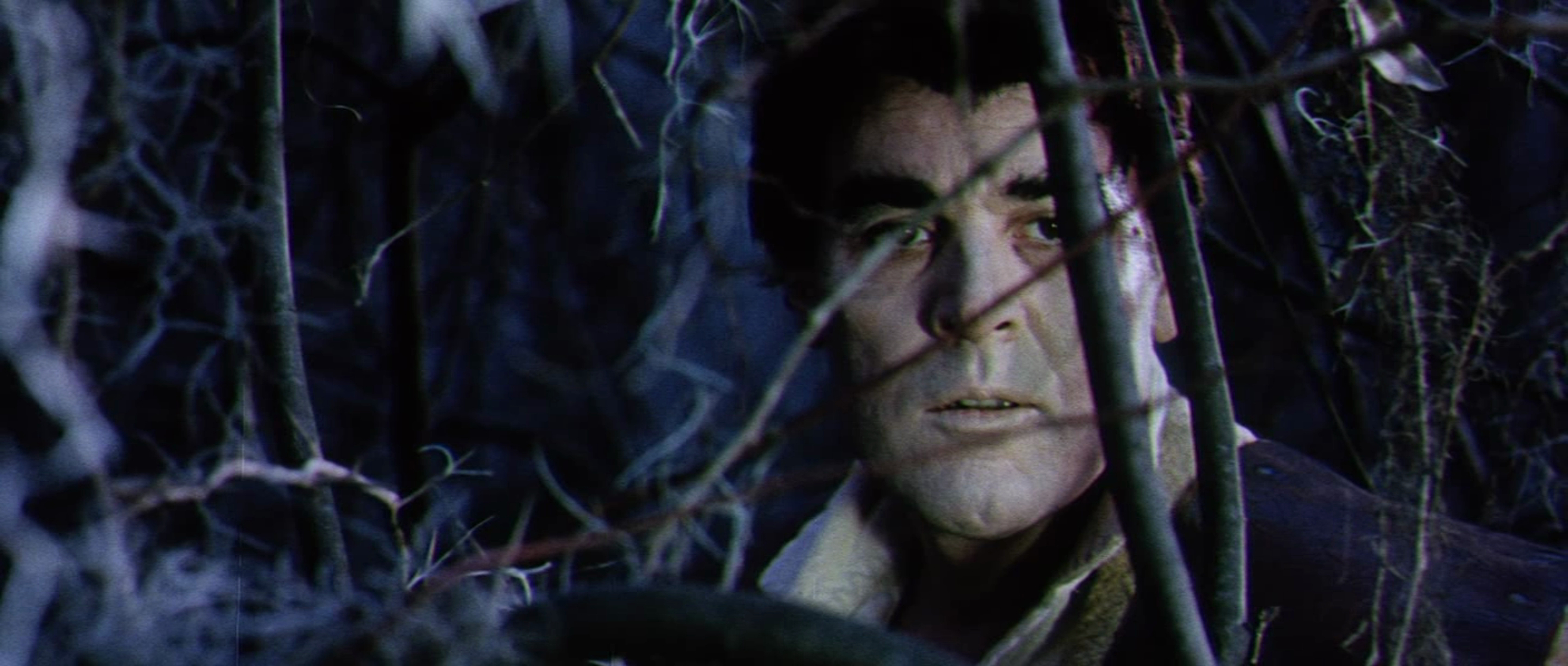 The Witchmaker