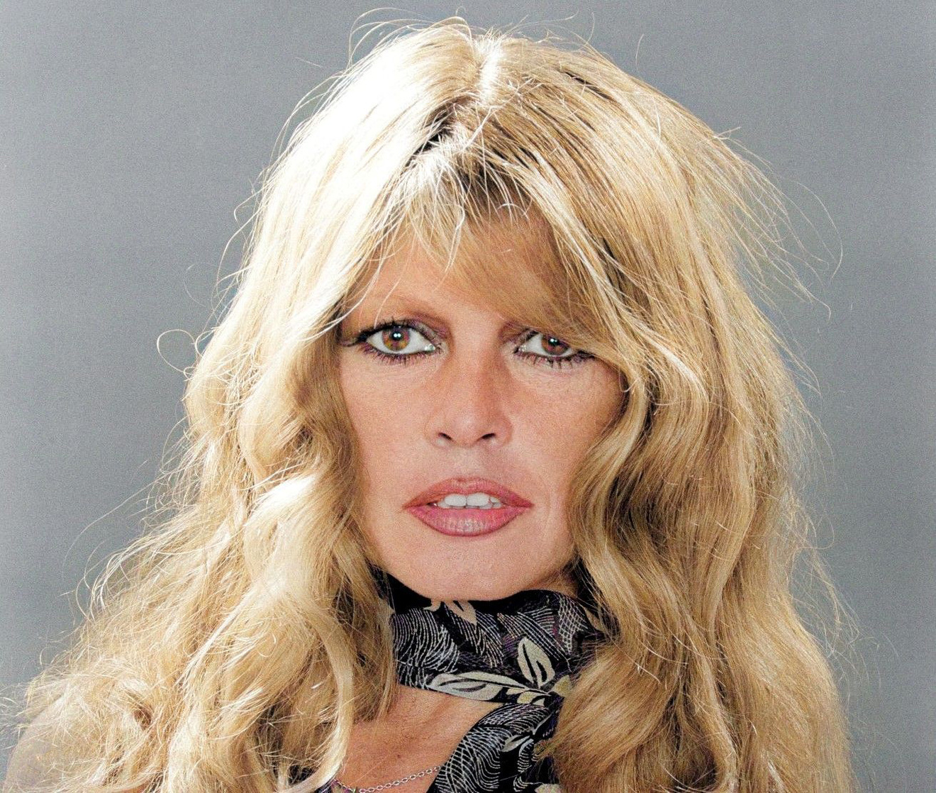 Brigitte Bardot Brigitte Bardot