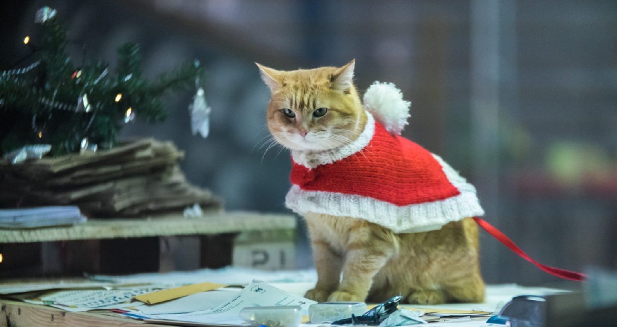 A Christmas Gift from Bob