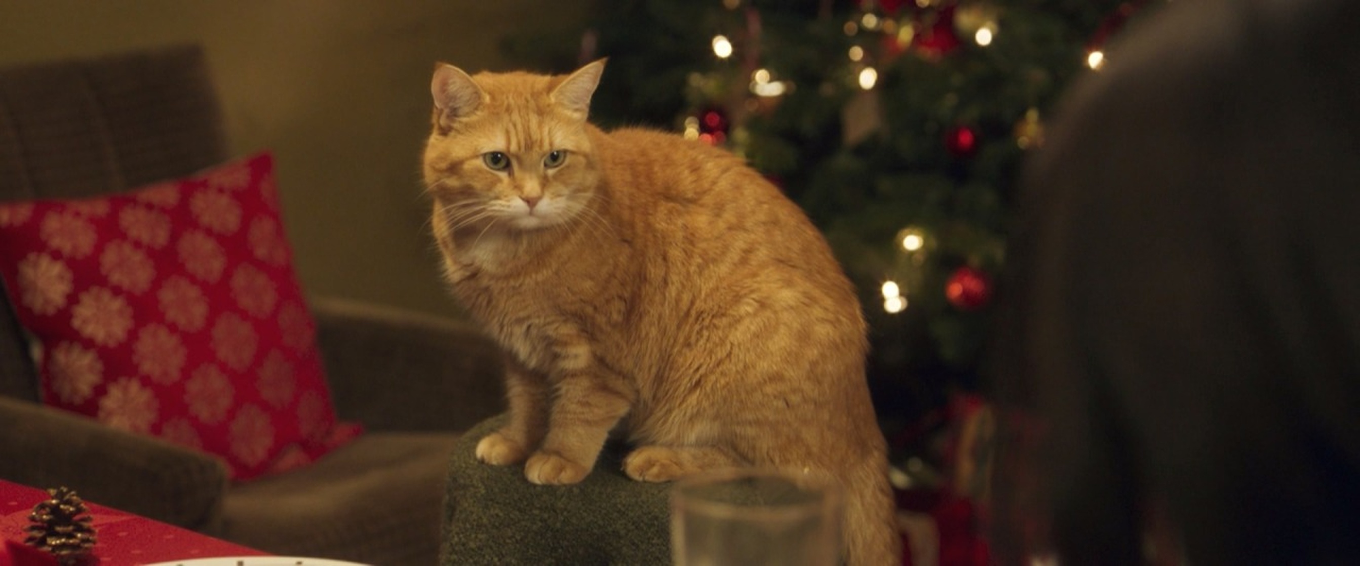 A Christmas Gift from Bob