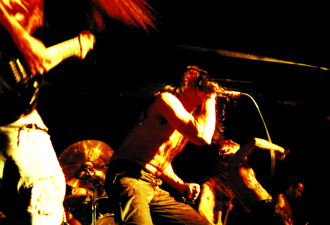 Gorerotted