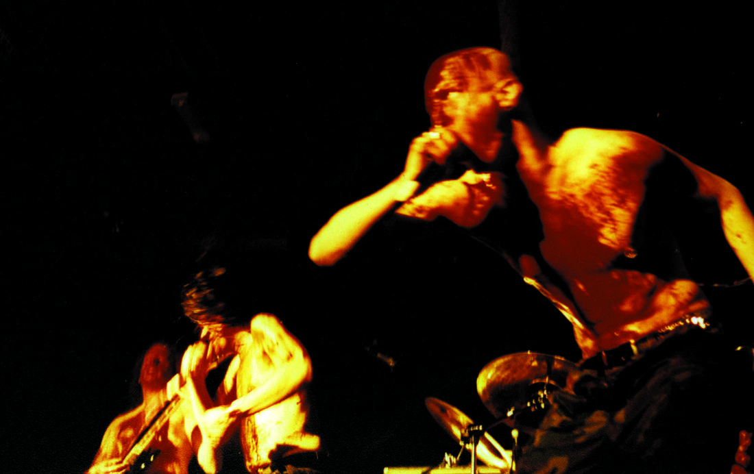 Gorerotted