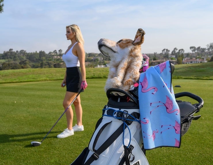 Picture of Paige Spiranac