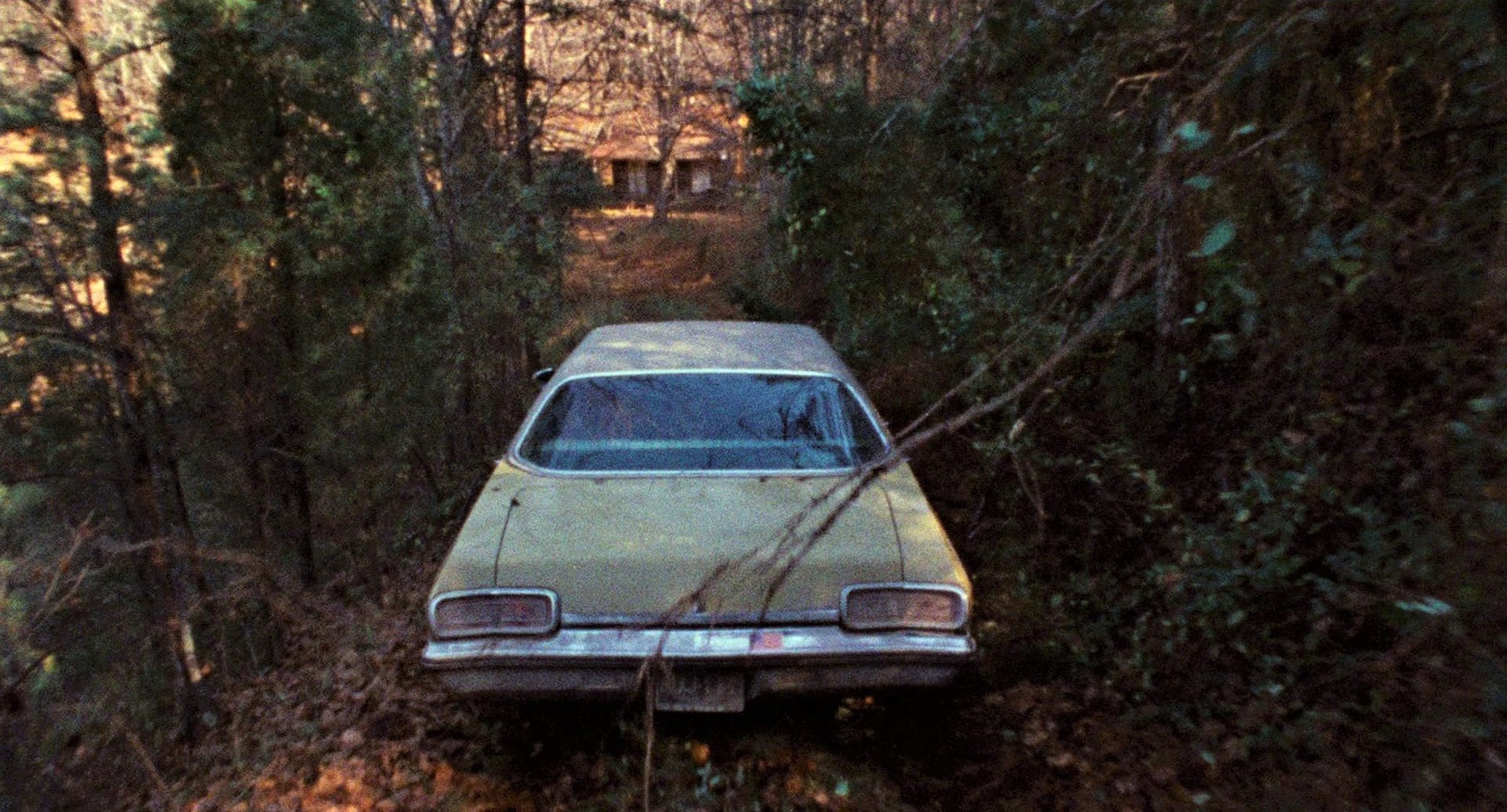 The Evil Dead
