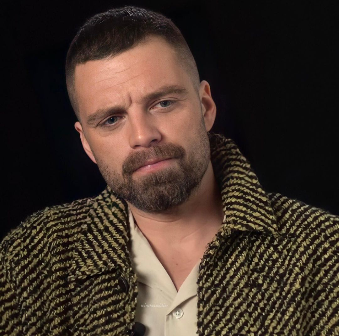 Sebastian Stan