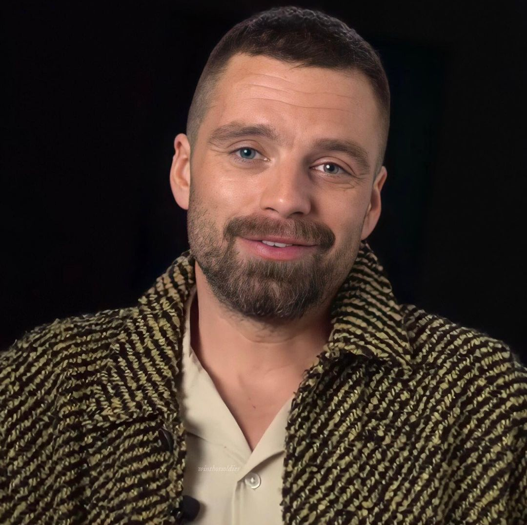 Sebastian Stan