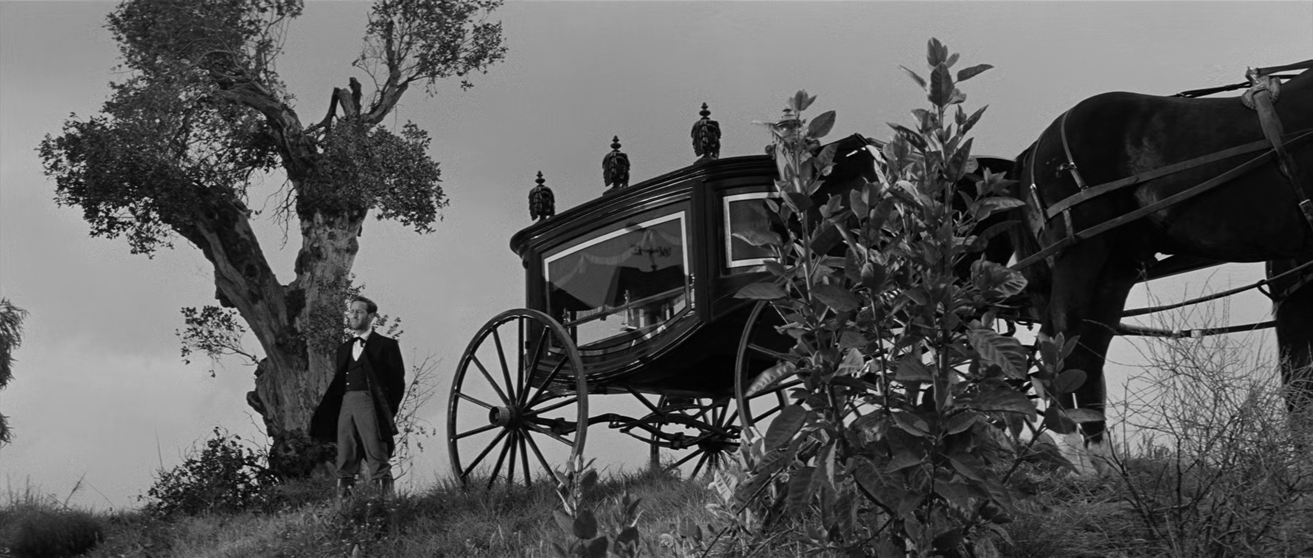 Forty Guns
