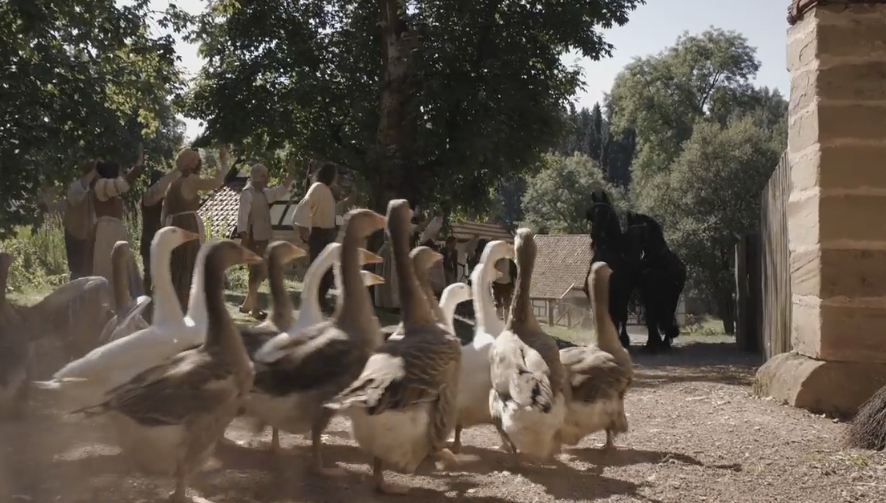 Die goldene Gans