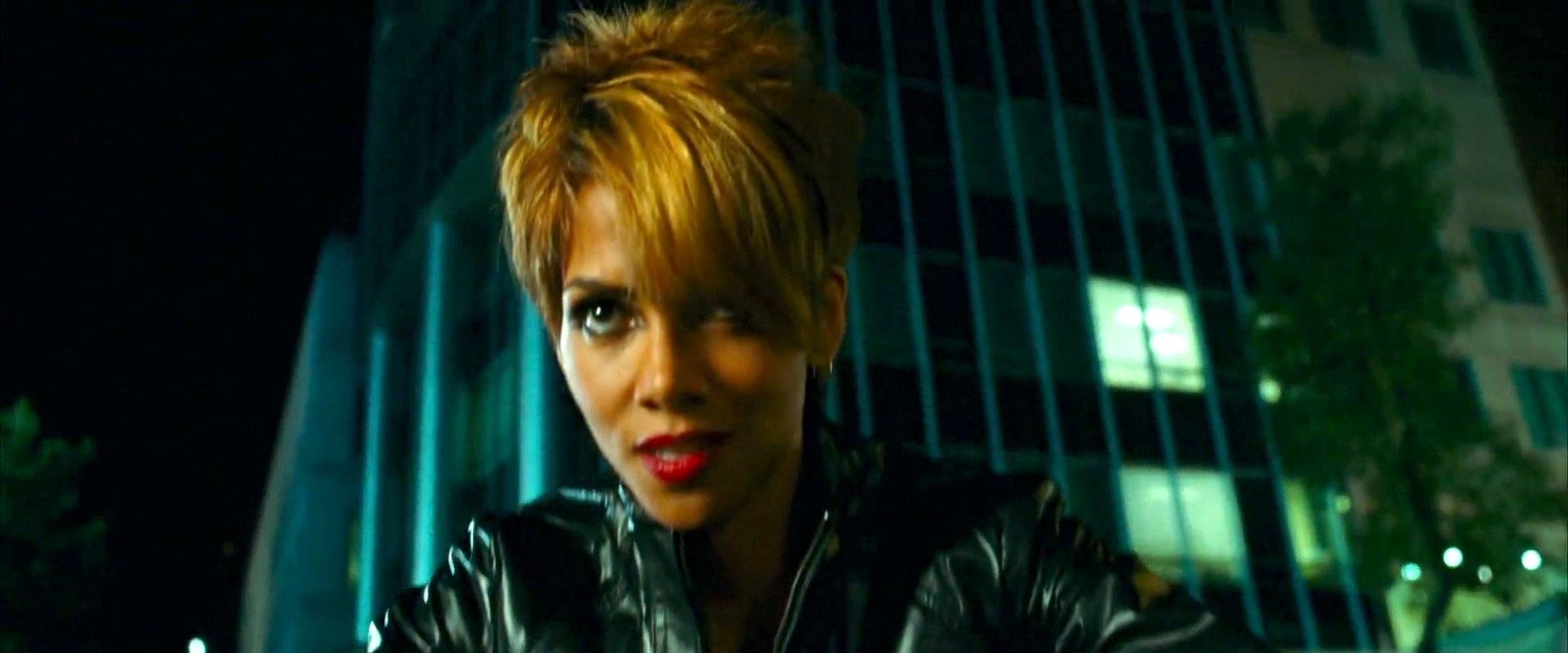 Picture of Catwoman (Halle Berry)