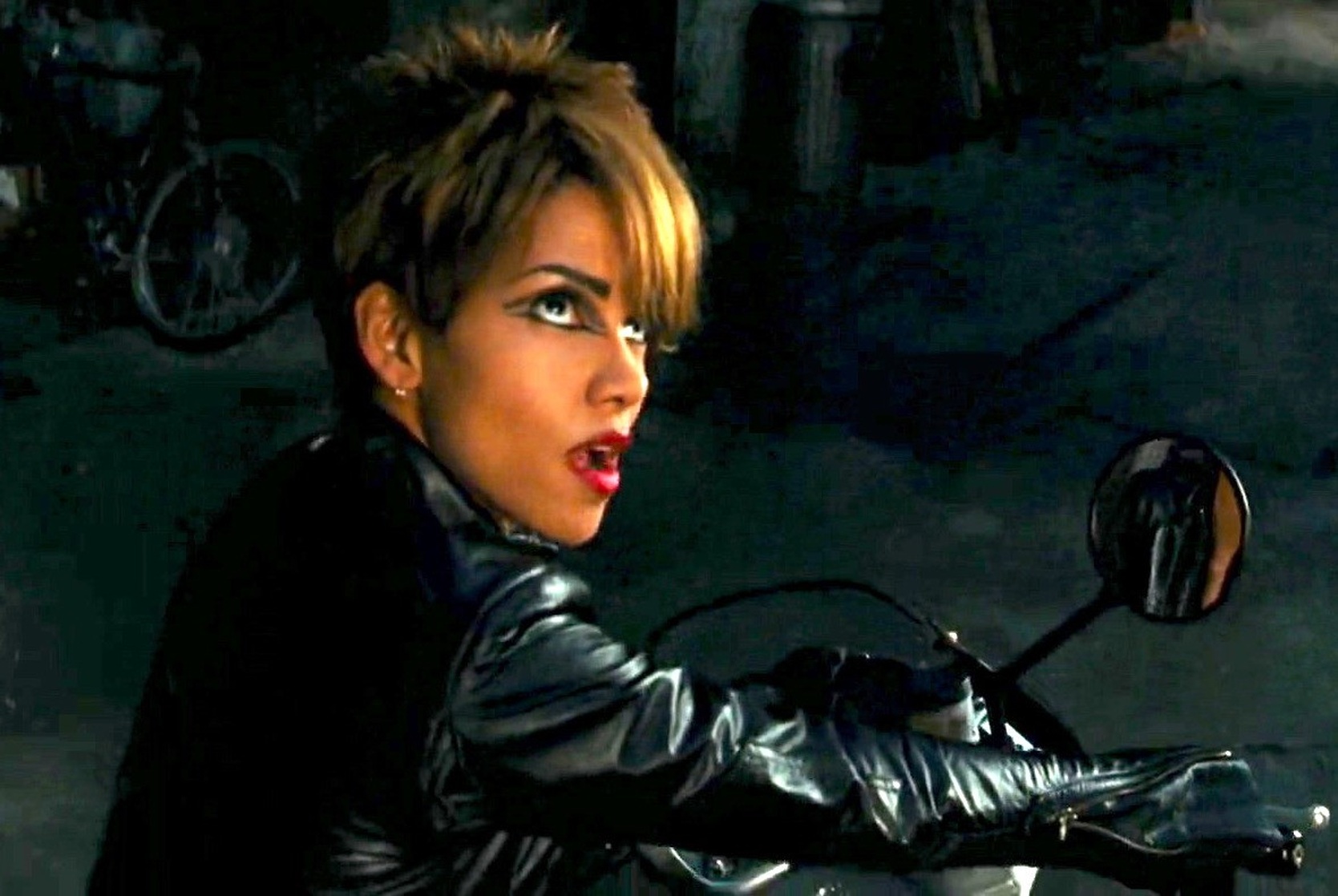 Picture of Catwoman (Halle Berry)