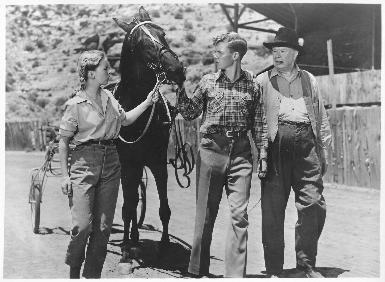 Green Grass of Wyoming (1948)