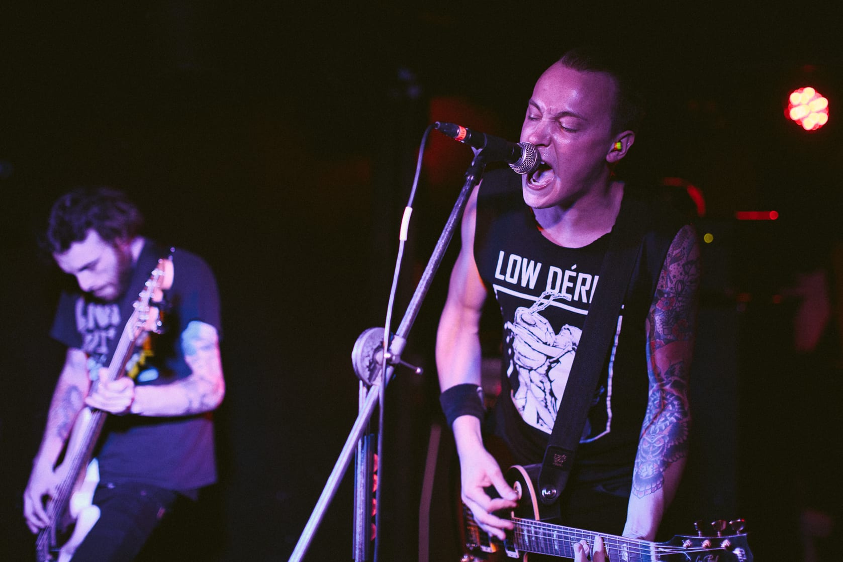 Picture of The Flatliners