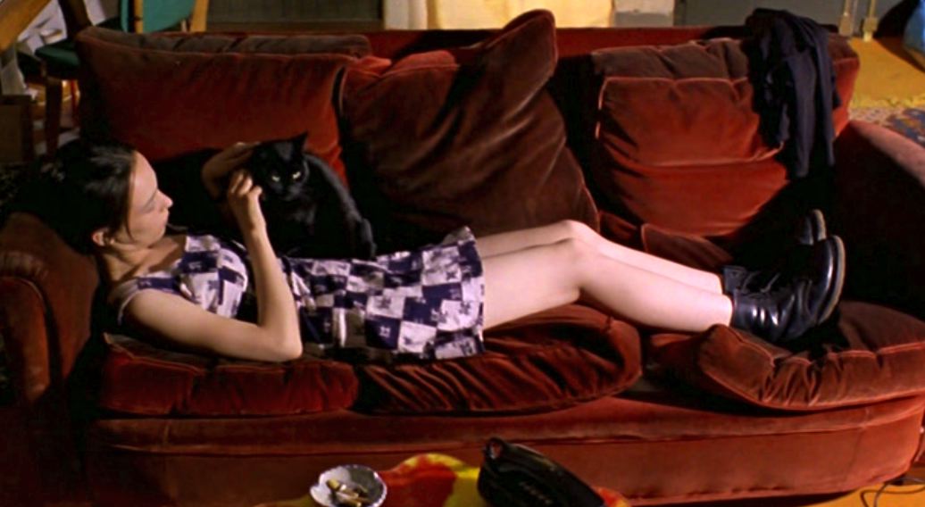 When the Cat's Away