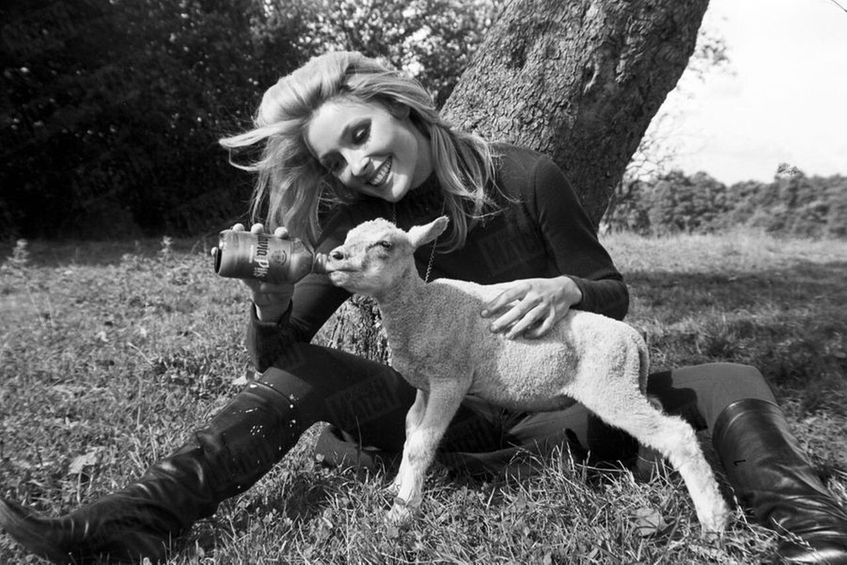 Sharon Tate