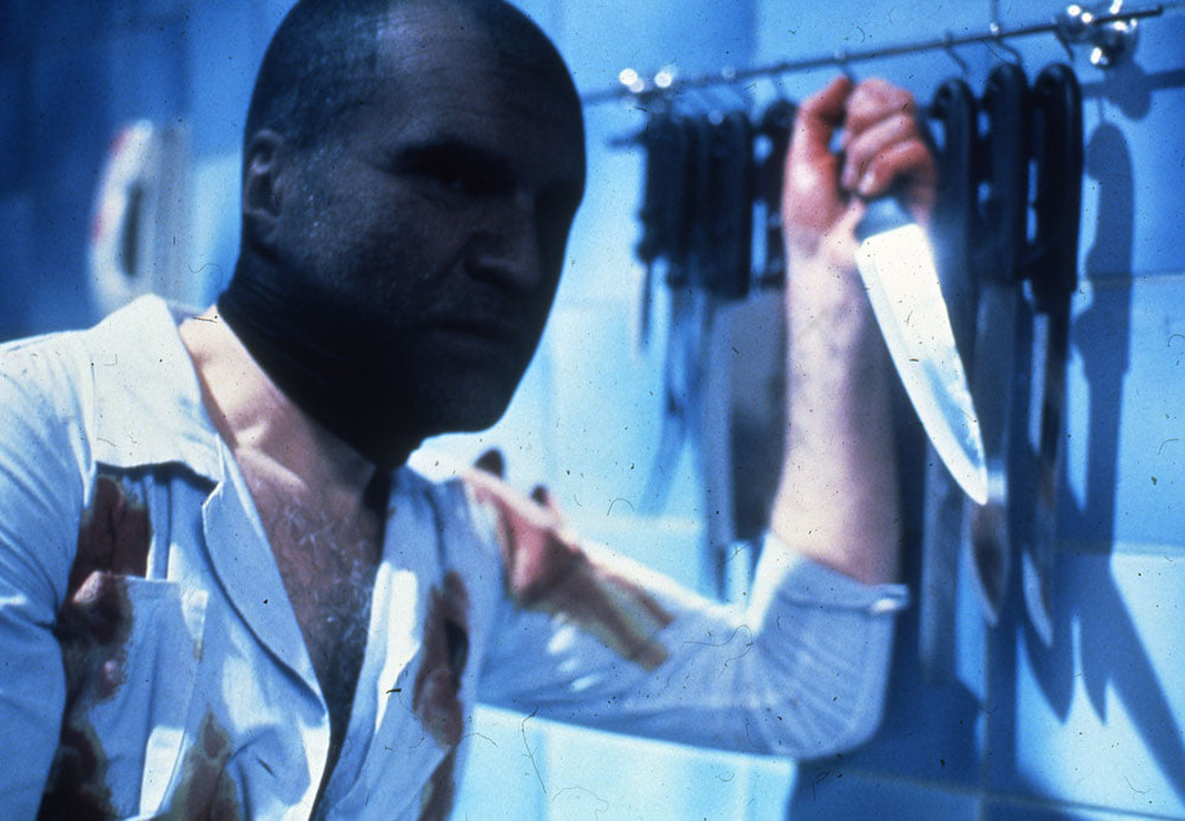 Picture of Mute Witness