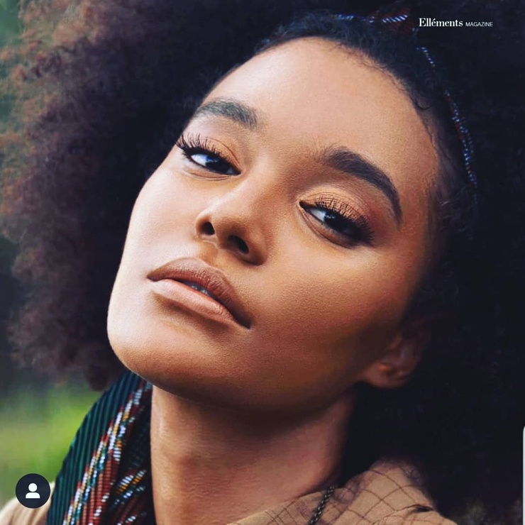 Picture of Kia Archer