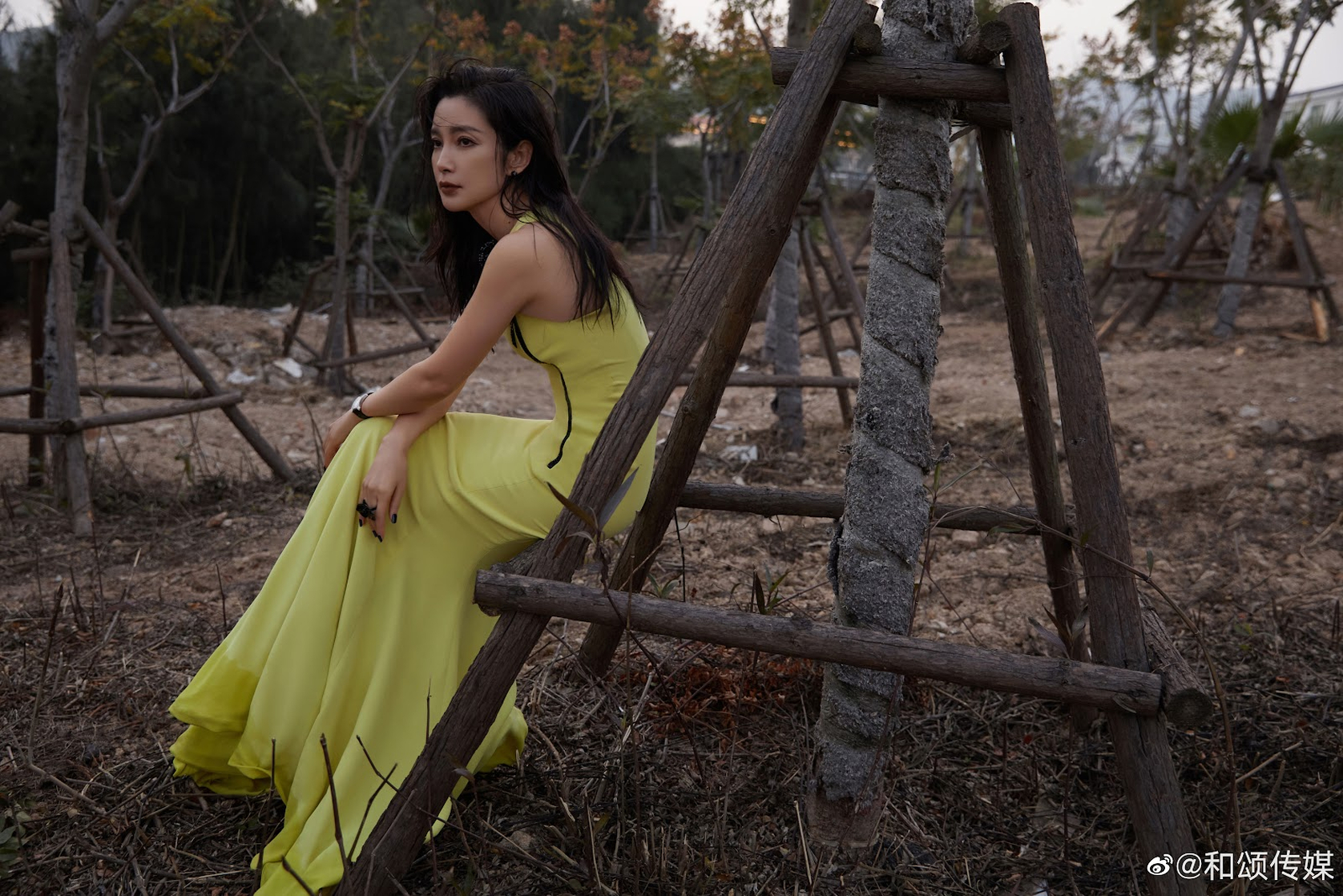 Bingbing Li Bingbing Li