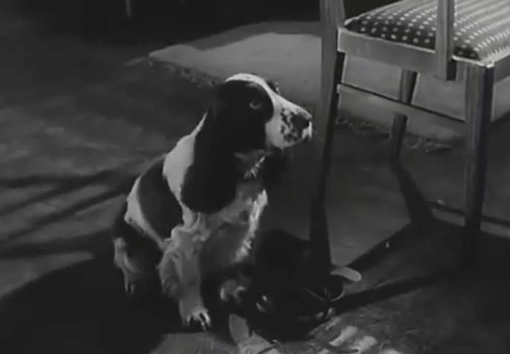 The Snorkel (1958)