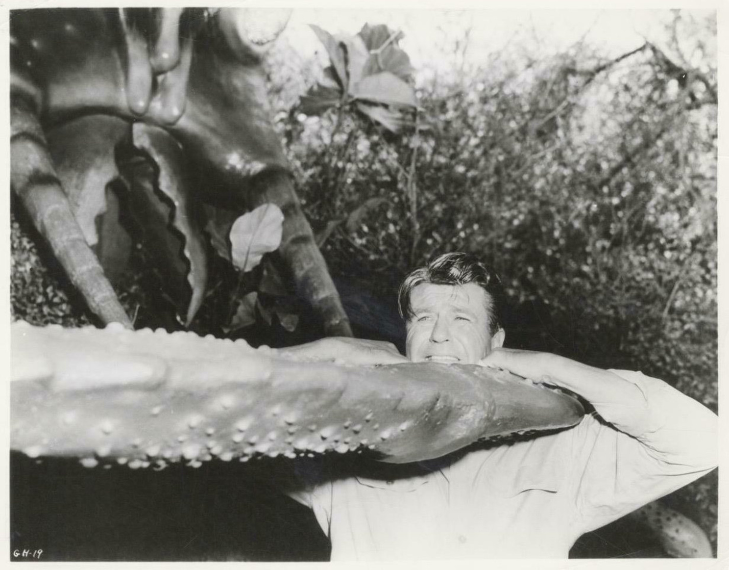Monster from Green Hell (1957)