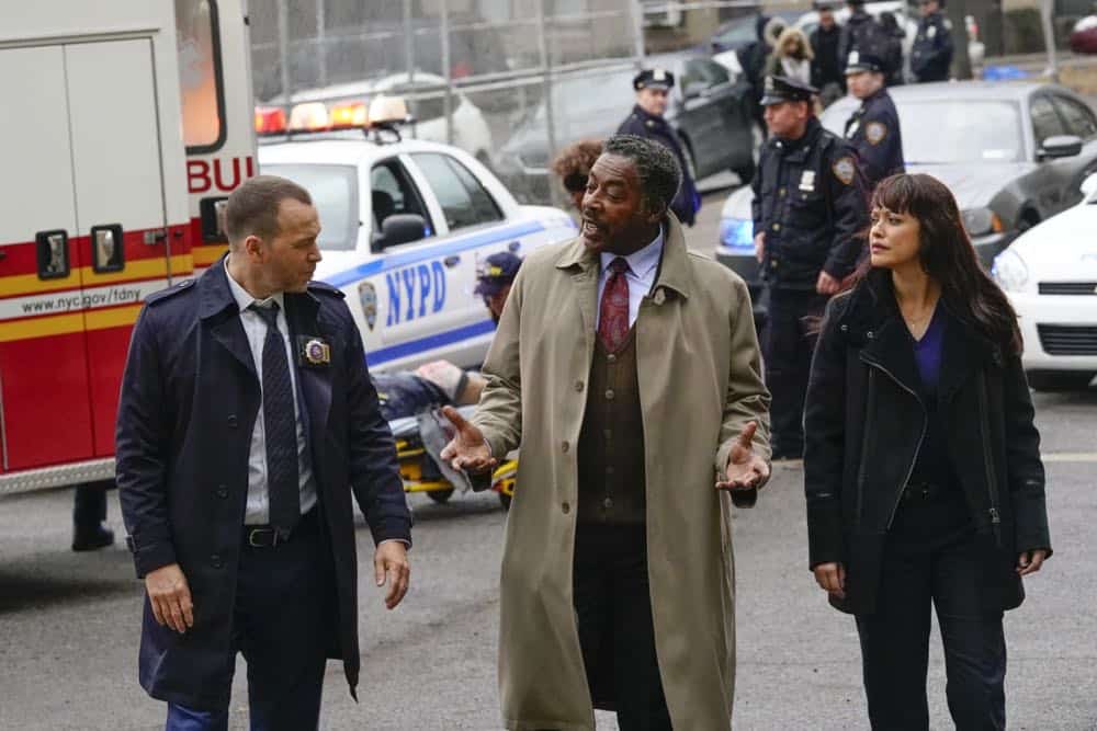 Blue Bloods