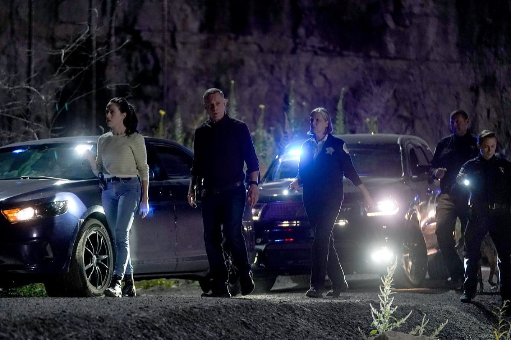 Chicago P.D.