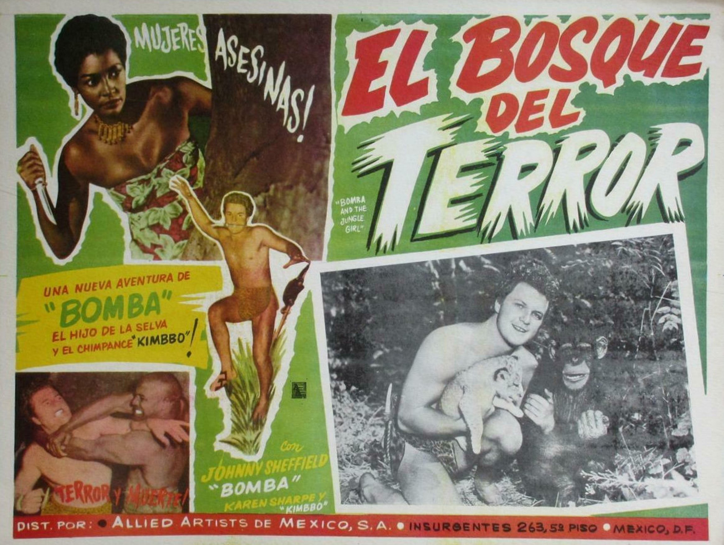 Bomba and the Jungle Girl Bomba and the Jungle Girl